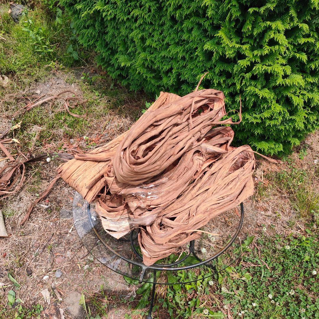 青森岩木山産 山葡萄 皮 樹皮 約3kg B品