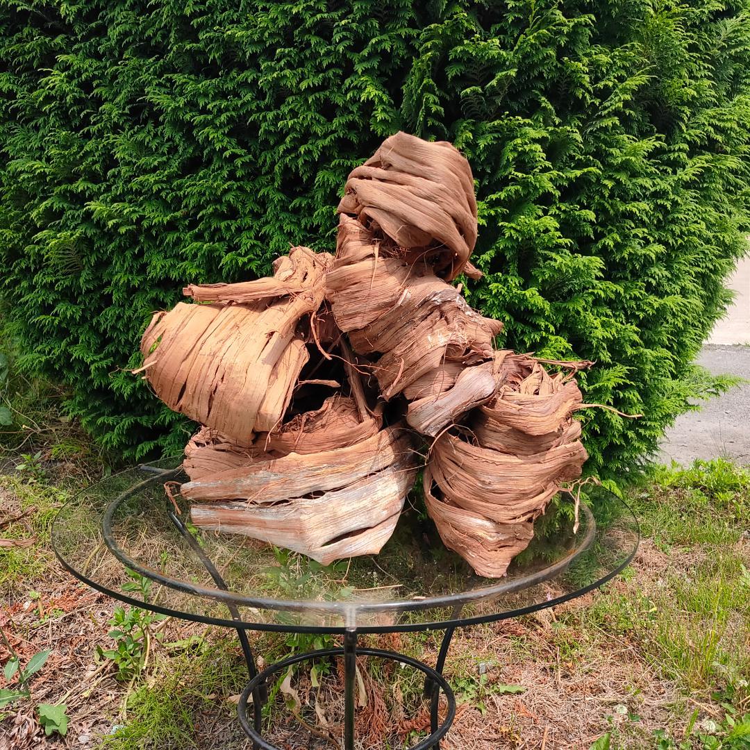 青森岩木山産 山葡萄 皮 樹皮 約3kg B品