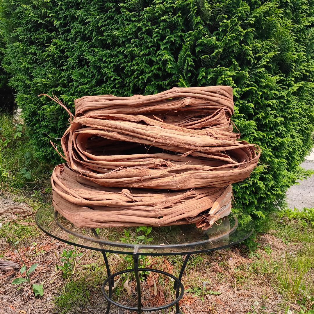 青森岩木山産 山葡萄 皮 樹皮 約3kg B品