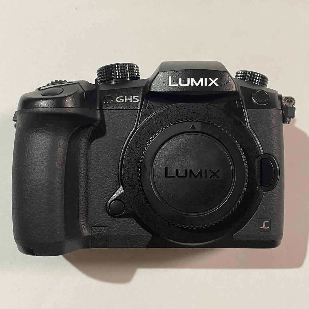 美品 ショット数172回 LUMIX GH5 バッテリー2個充電器