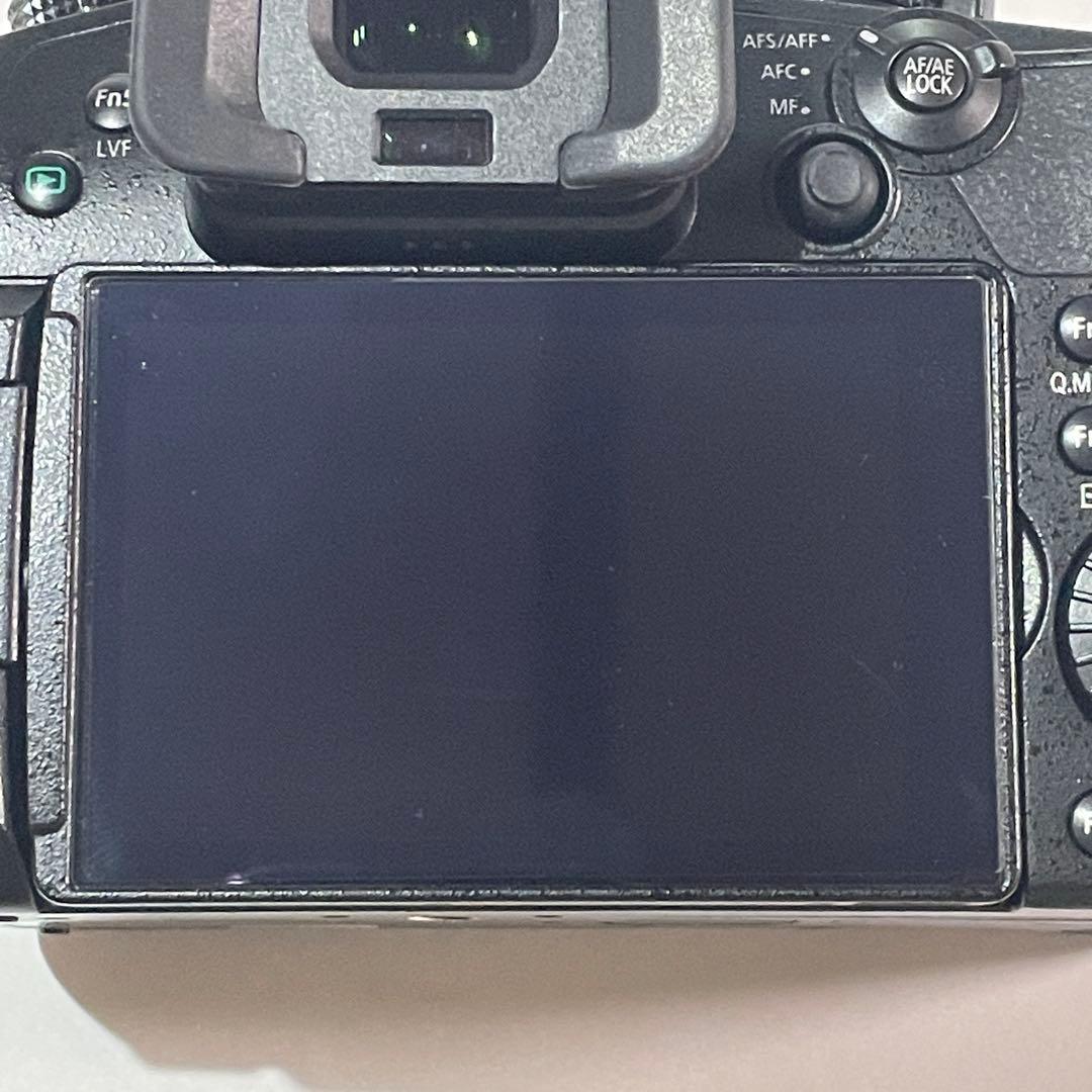 美品 ショット数172回 LUMIX GH5 バッテリー2個充電器