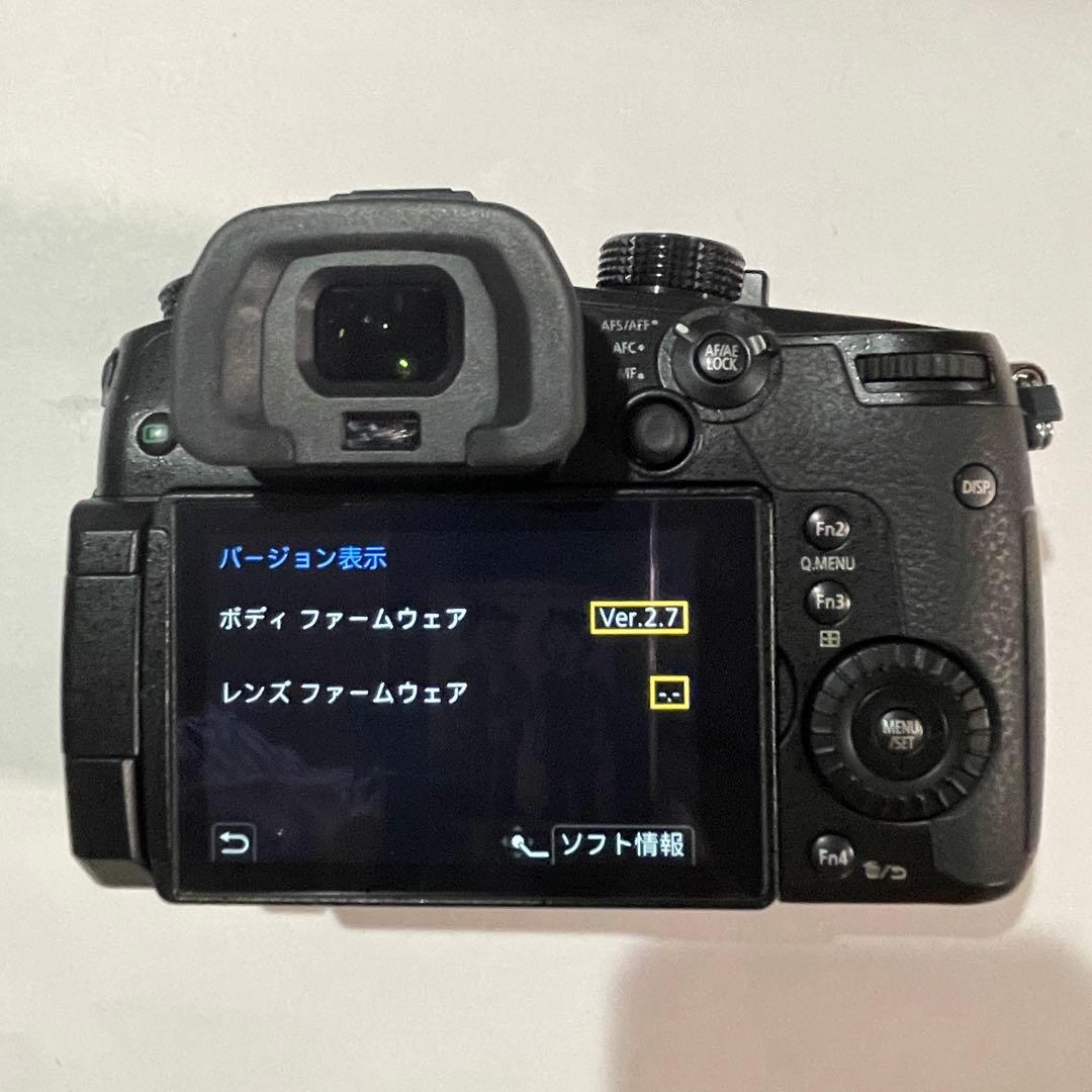 美品 ショット数172回 LUMIX GH5 バッテリー2個充電器