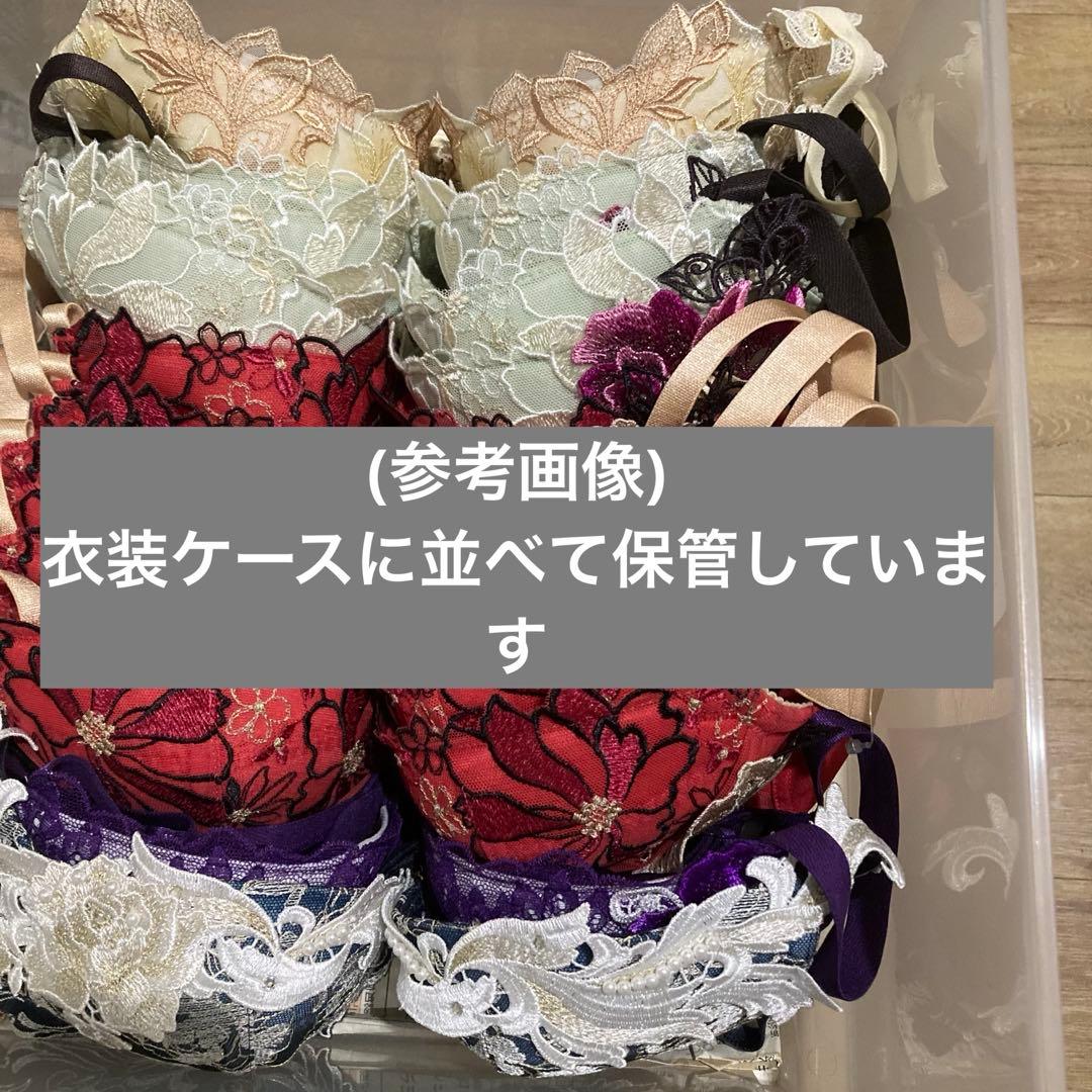 サルート　G70/M　GY　76　P-upブラ　ソング　タンガ　Tバック