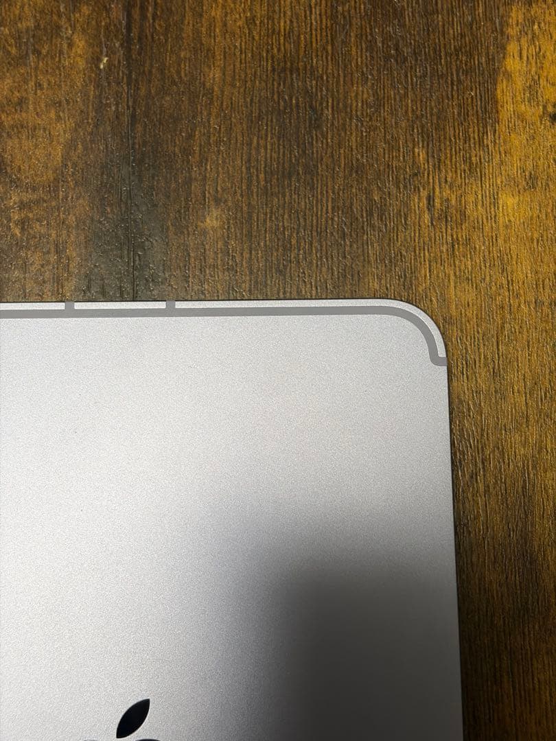 iPadmini (第6世代) Cellular 64GB ペンシル 純正カバー