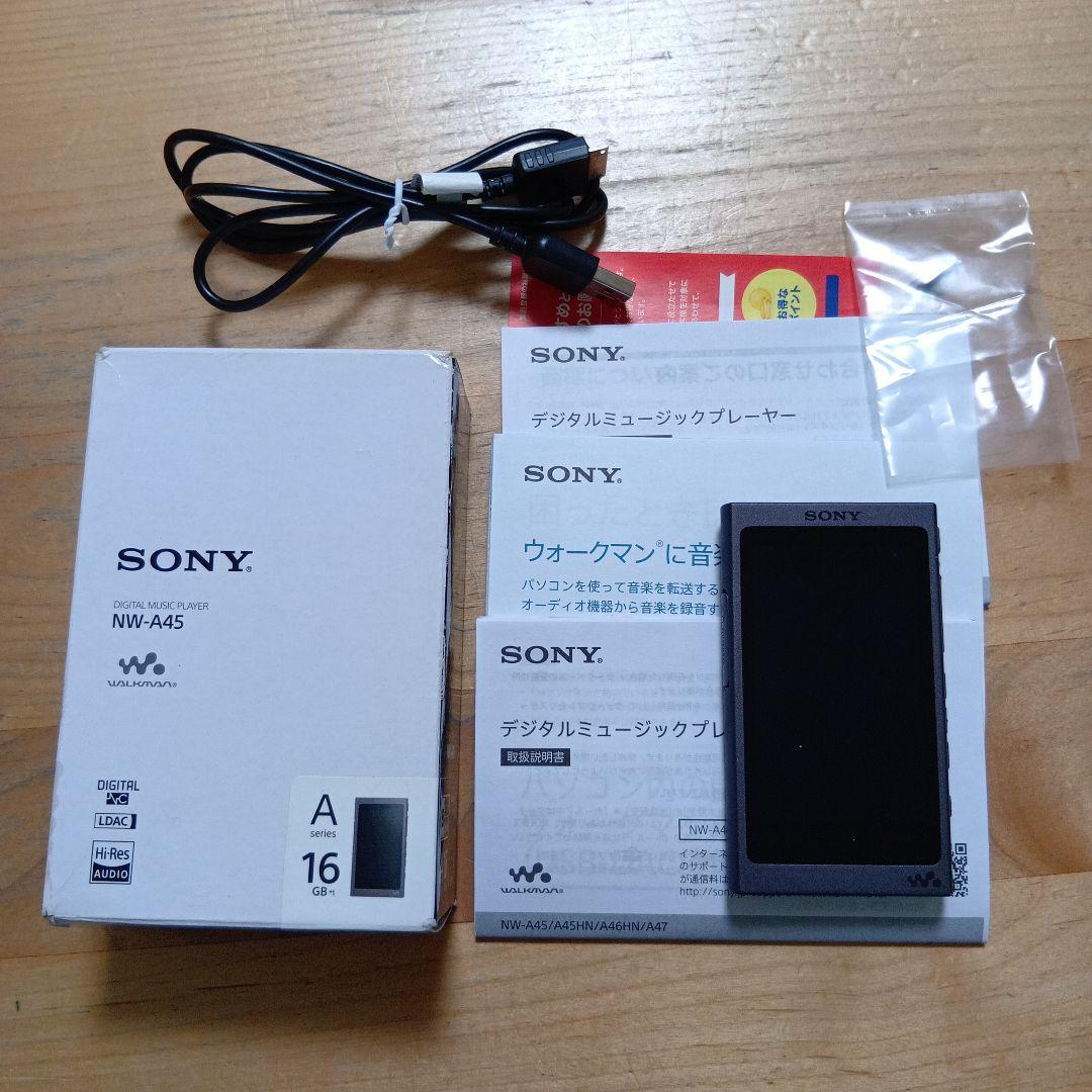 ☪*.様 SONYウォークマンNW-A45 16GB