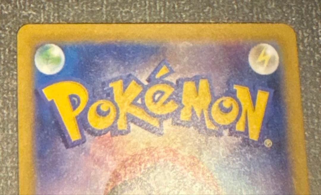 アセロラのいたずらSAR 11/24(月)自引き