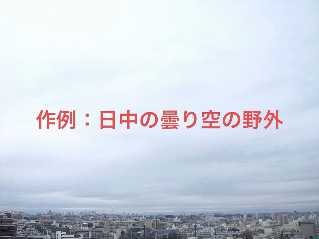 【動作確認済】CASIO カシオ EXILIM EX-Z500 レトロコンデジ