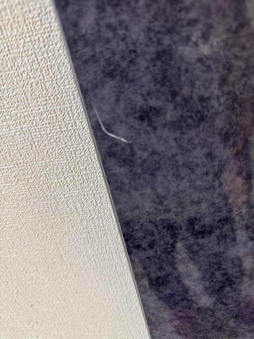 147 スノーボード Enguard 25-26