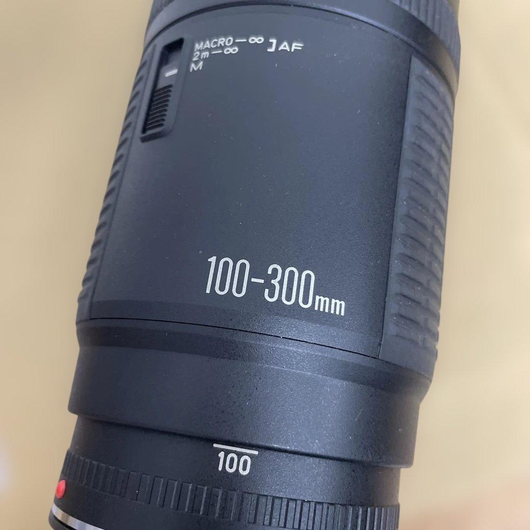 Canon EF 100-300mm ズームレンズ