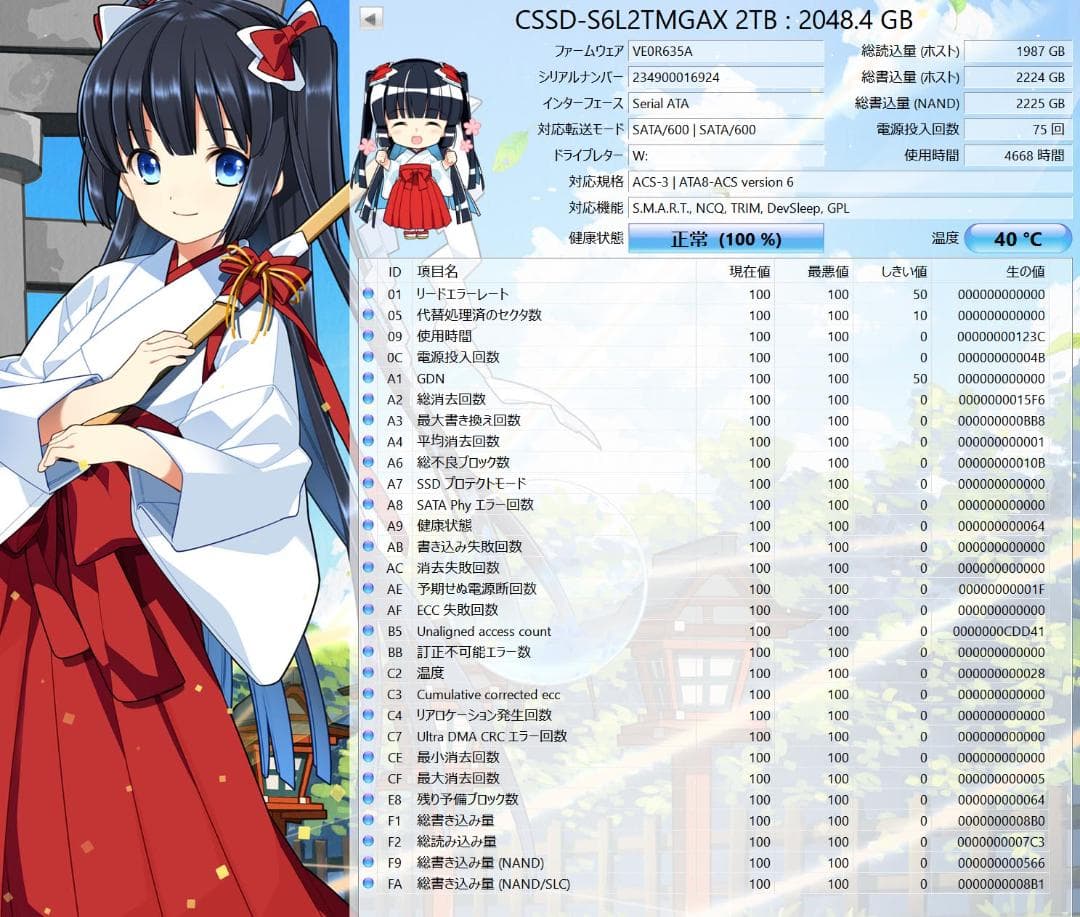 CFD SSD 2TB　CSSD-S6L2TMGAX