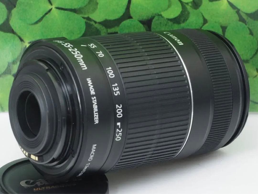 【美品】キャノンEF-S55-250mm ISⅡ手ブレ補正⭐️イベントで大活躍