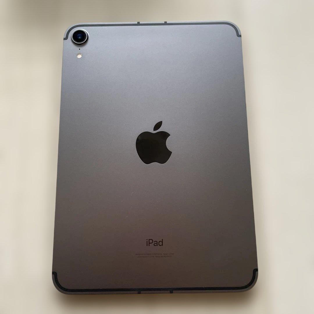 Apple iPad mini スペースグレー 本体 ペンシル付き