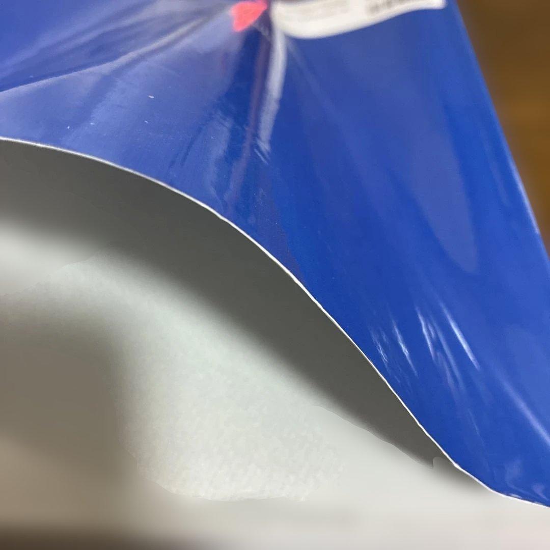 小動物外科疾患のメカニズム 第3版 獣医外科