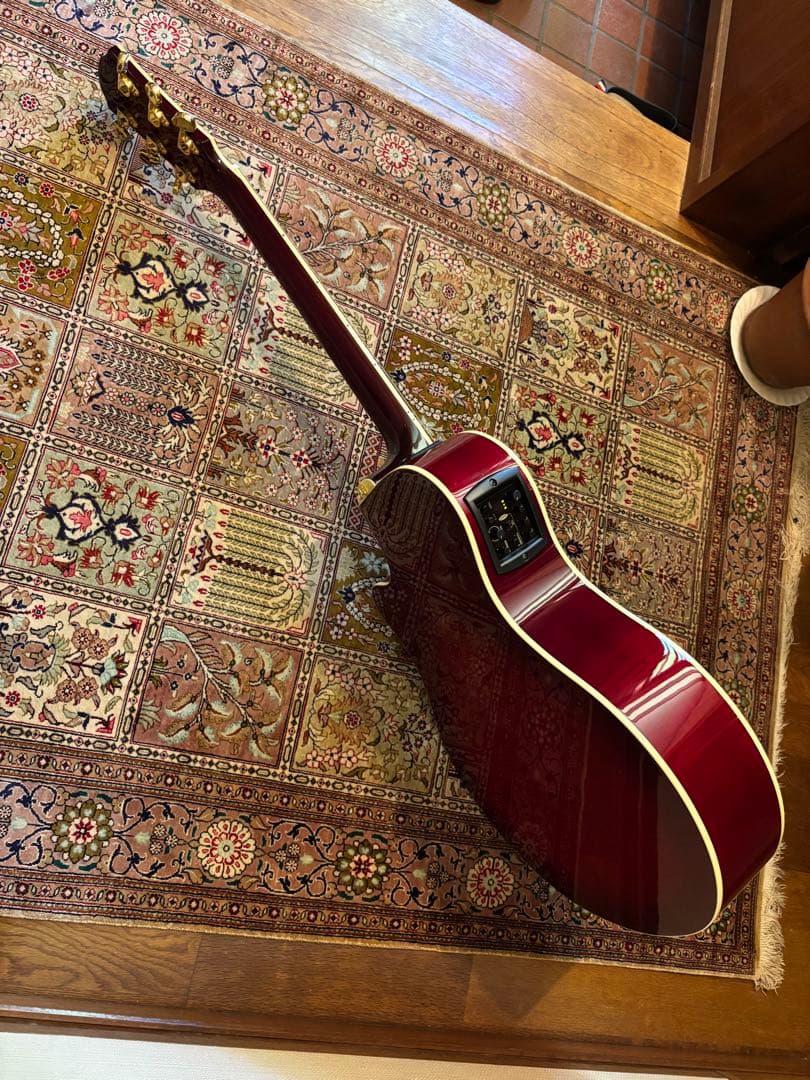 YAMAHA APX1000 エレアコの名器です。