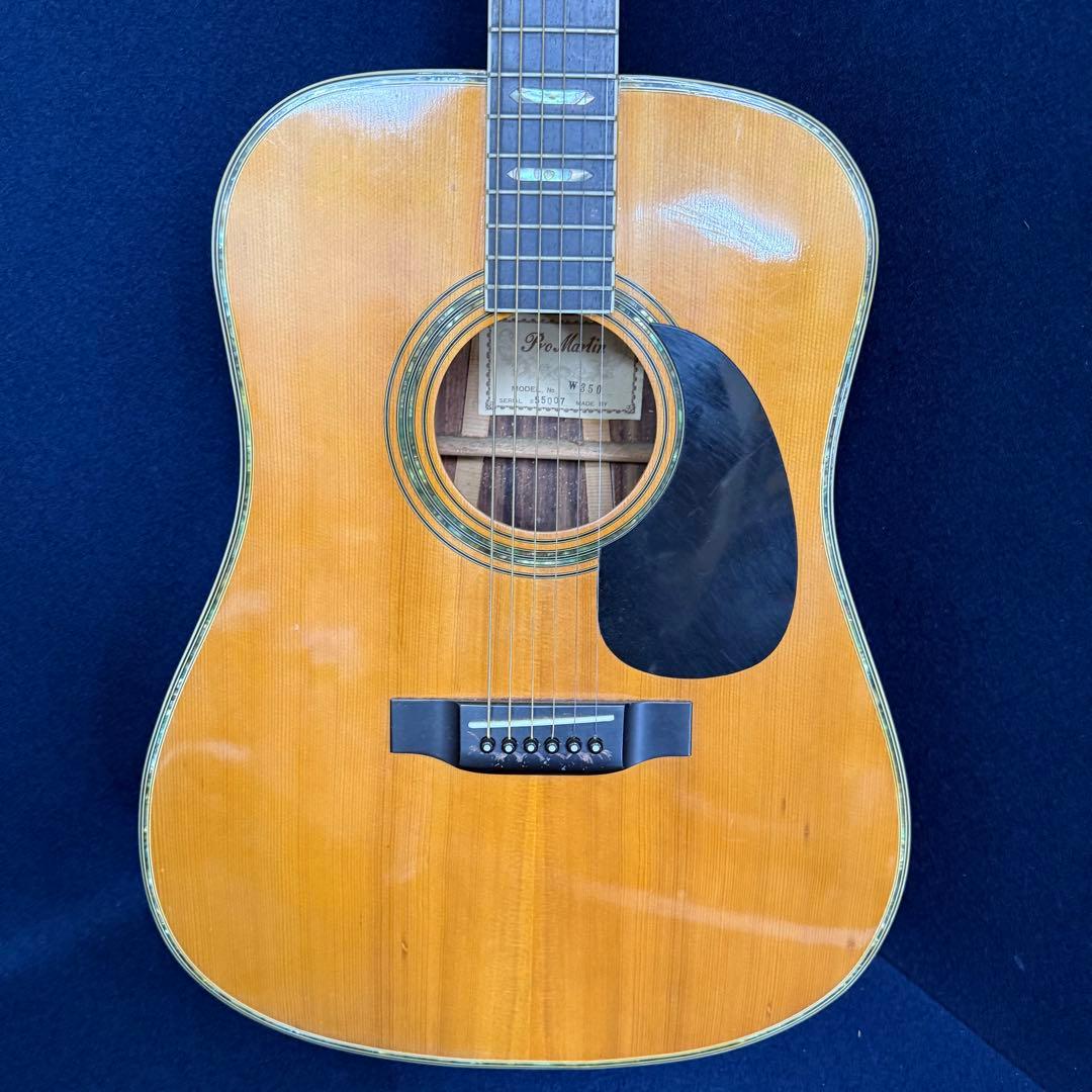 Pro Martin プロ マーティン W350 アコースティックギター