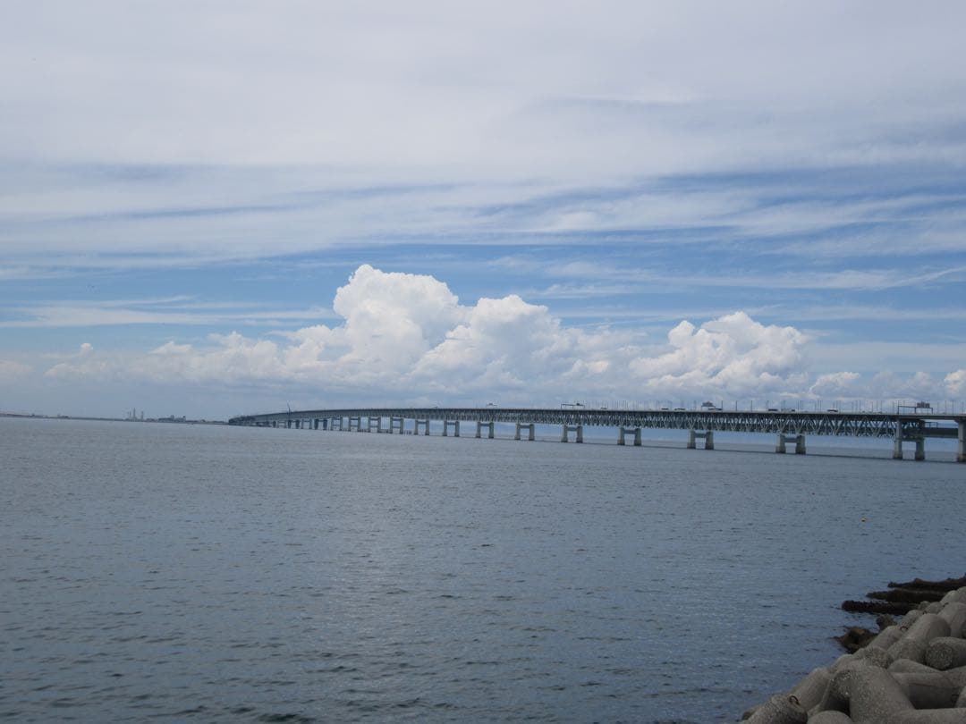 【作例あり】Canon Powershot SX610 HS コンデジ