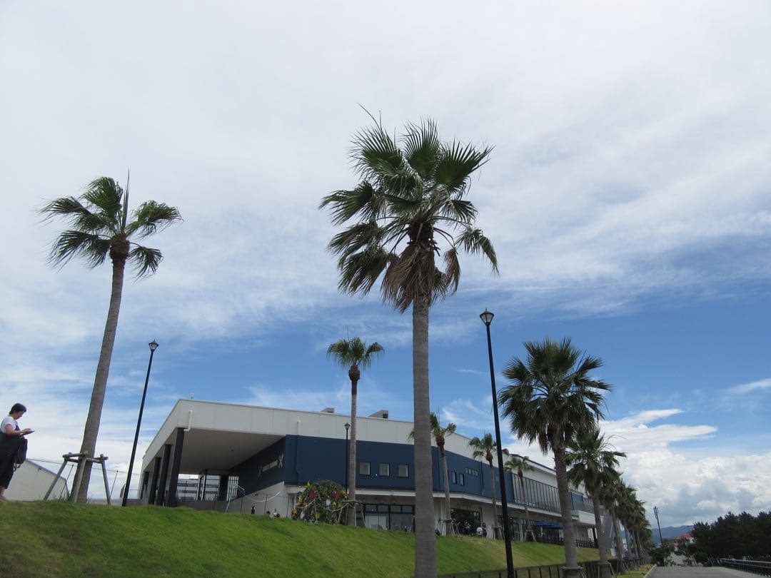 【作例あり】Canon Powershot SX610 HS コンデジ