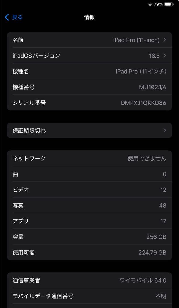 【美品】iPad Pro (11インチ) 256GB SIMフリー