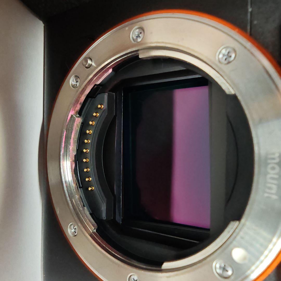 SONY α7SIII ボディ