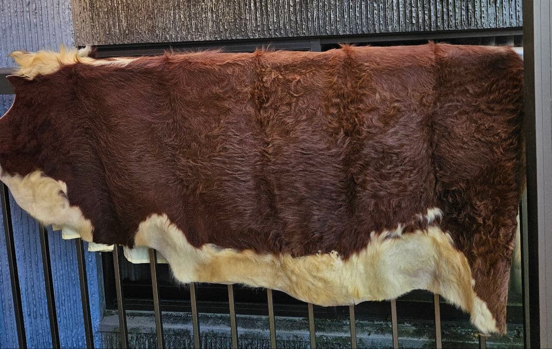 天然牛革ラグ 大判 ブラウン・クリーム