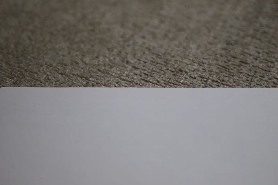 Canon 6D mark Ⅱ ボディ 50 mm単焦点