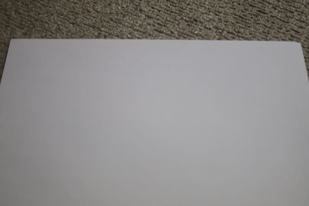 Canon 6D mark Ⅱ ボディ 50 mm単焦点