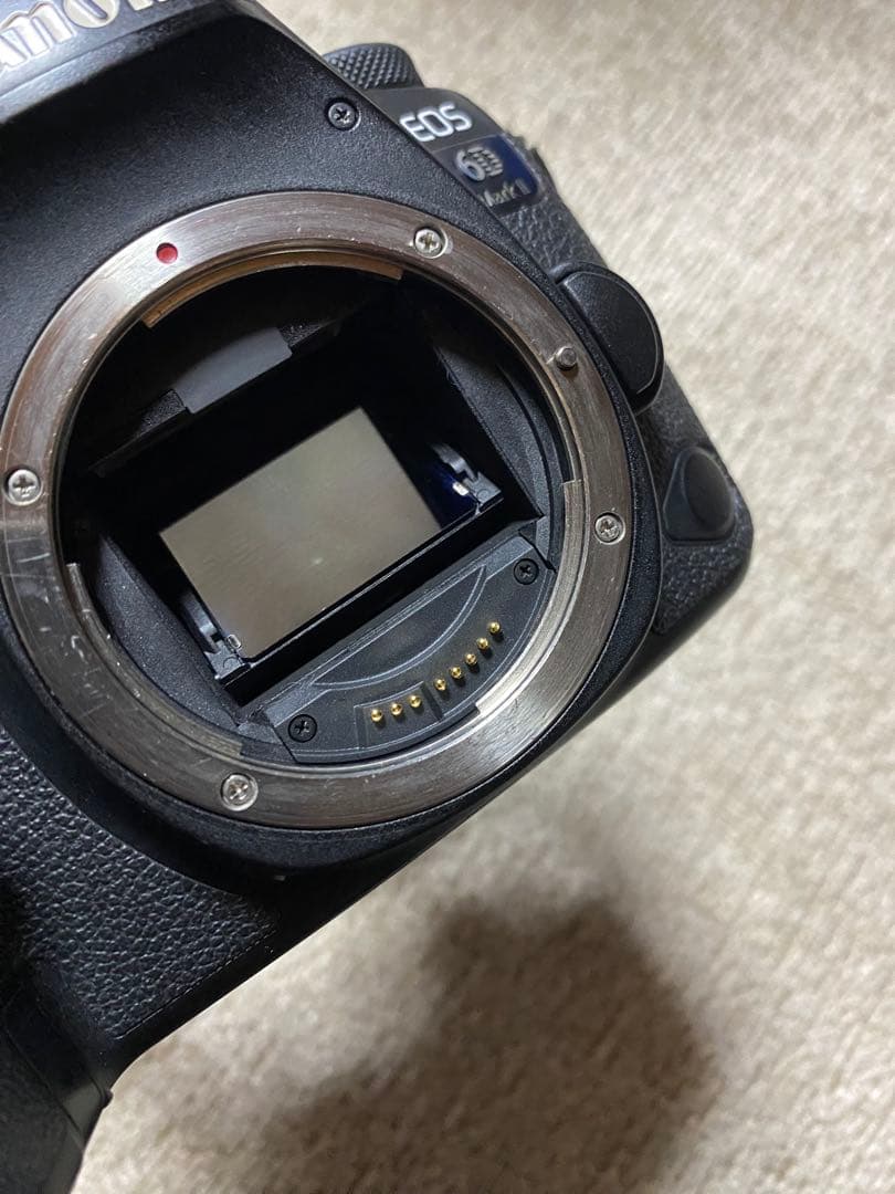 Canon 6D mark Ⅱ ボディ 50 mm単焦点