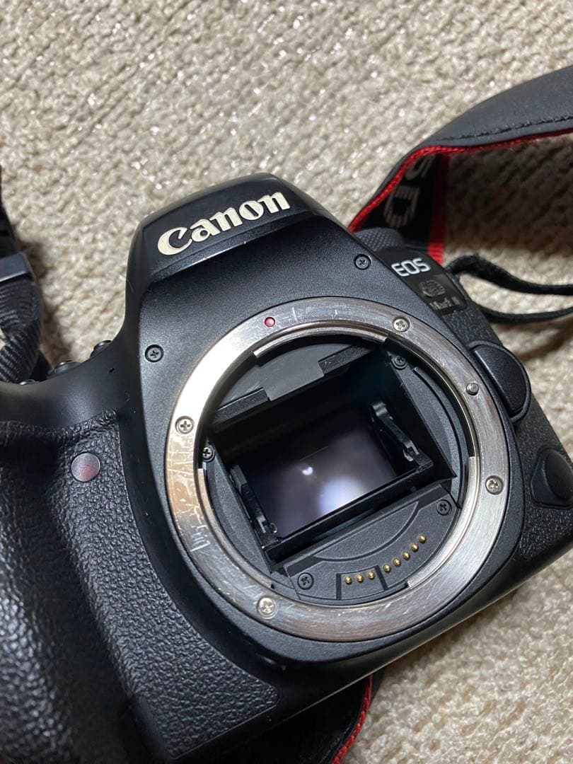 Canon 6D mark Ⅱ ボディ 50 mm単焦点