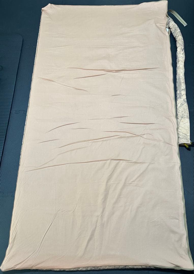 T*a様 YOSA！ヨサ！テルスガイザーリファイン！テラダウンケット！格安！！