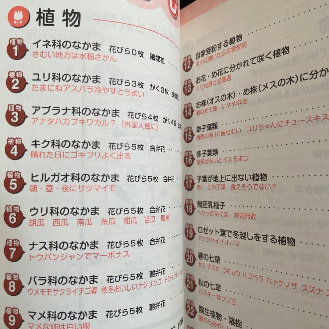 22年SAPIX 6年生テスト原本の(13セット写真参考)+おまけ付き