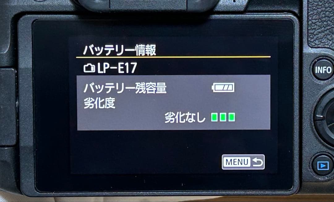 Canon EOS RP 本体・充電器・純正バッテリー2個・ボディケース付き