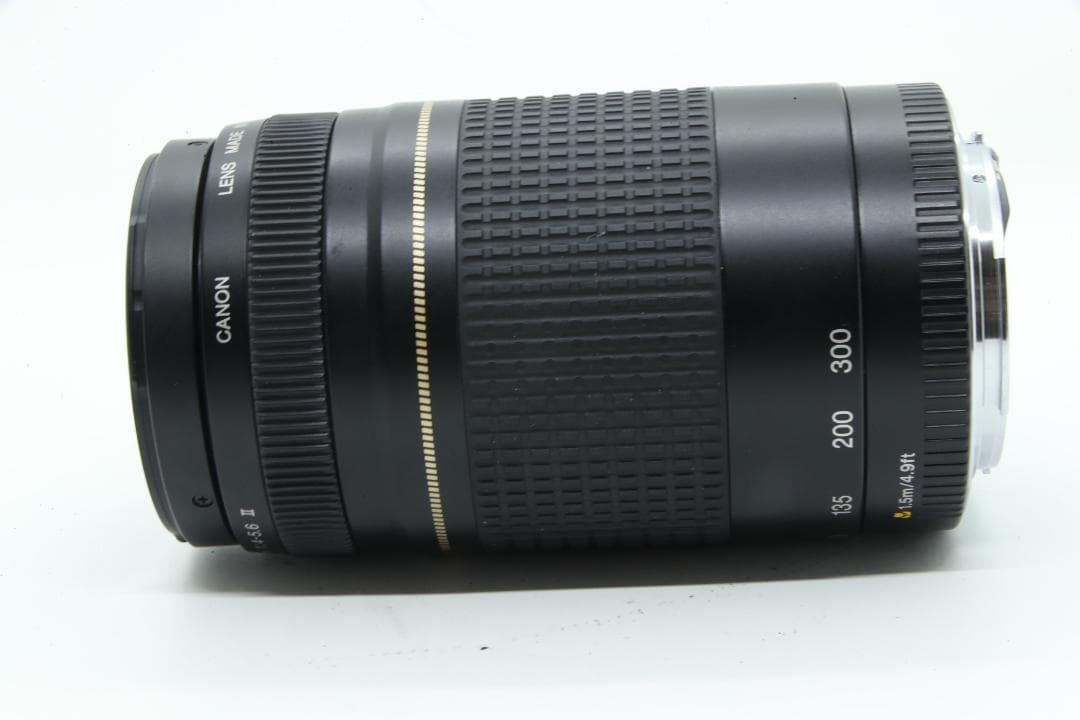 【N2131】 Canon EF 75-300mm 4-5.6 Ⅱ USM