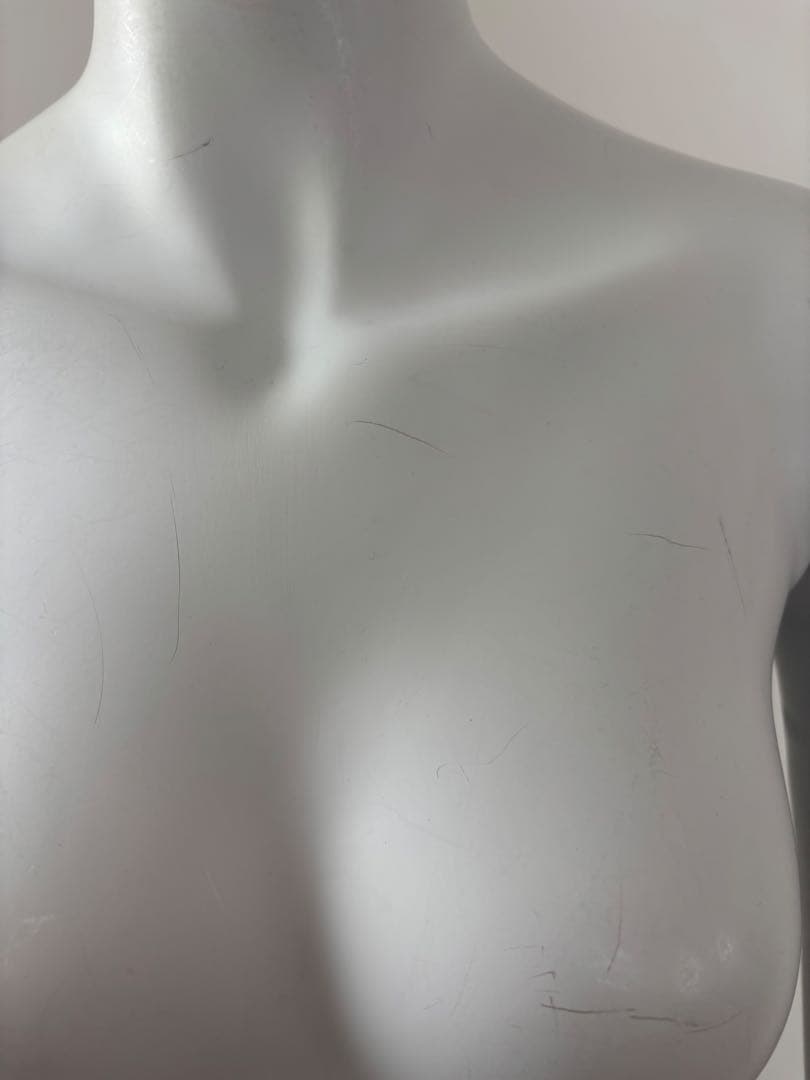 ネクストさん専用　マネキン　全身　女性　ホワイトプラスチック製マネキン　トルソー