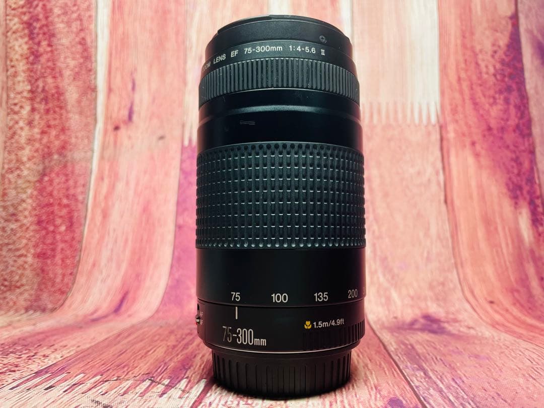 Canon キャノン EF-75-300mm 1:4-5.6 Ⅱ