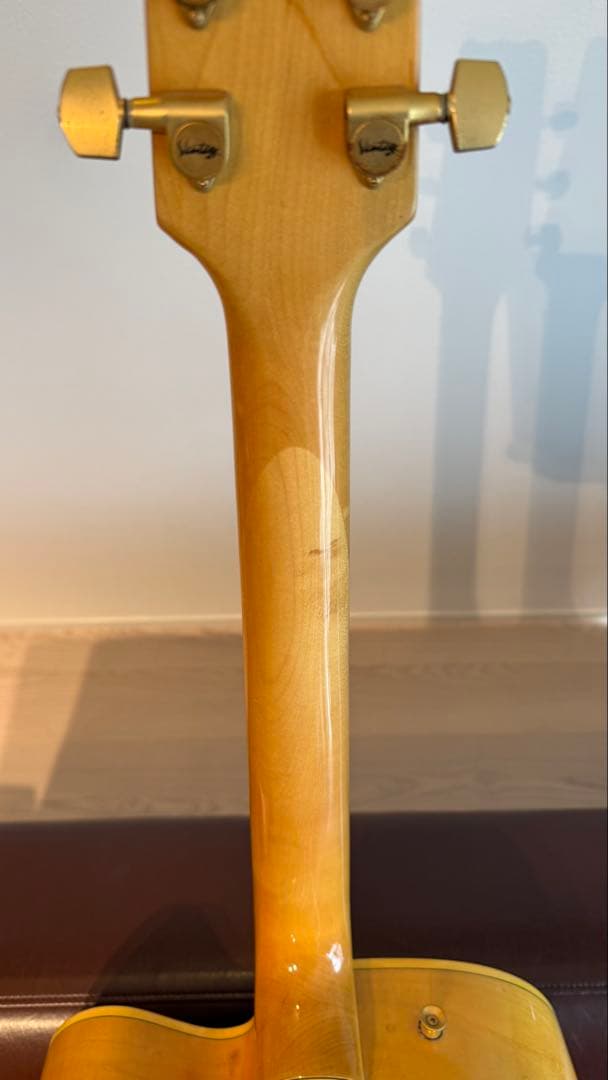 Vantage 655 フルアコ　17インチ