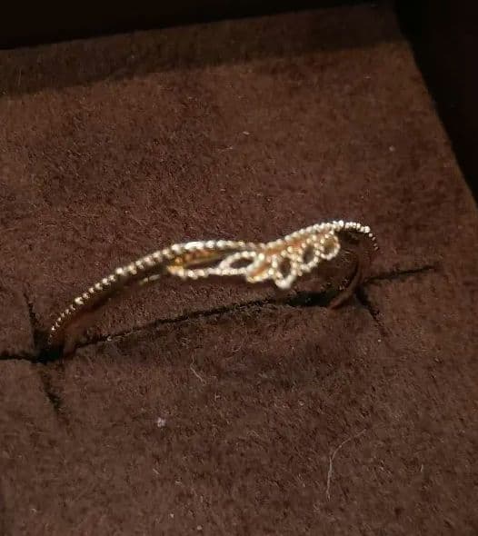 アガット　k10　 2022　限定　 リング