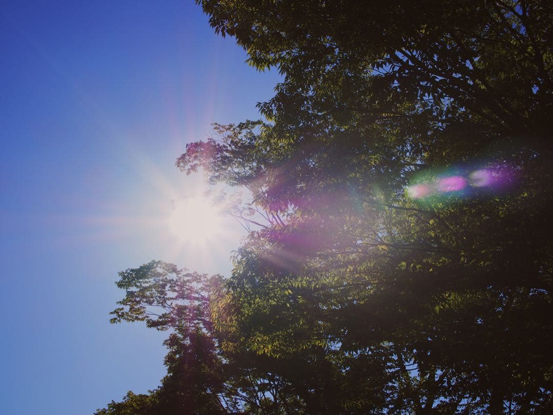 OM-D E-M5 Mark II ズームレンズセット 作例有