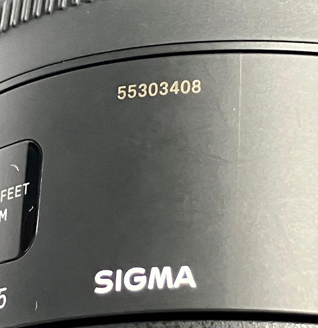 シグマ SIGMA 150-600mm F5-6.3 テレコンキット キヤノン