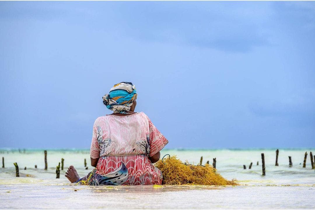 15362 新品 Nikon NIKKOR Z 24-200mm VR ニコン