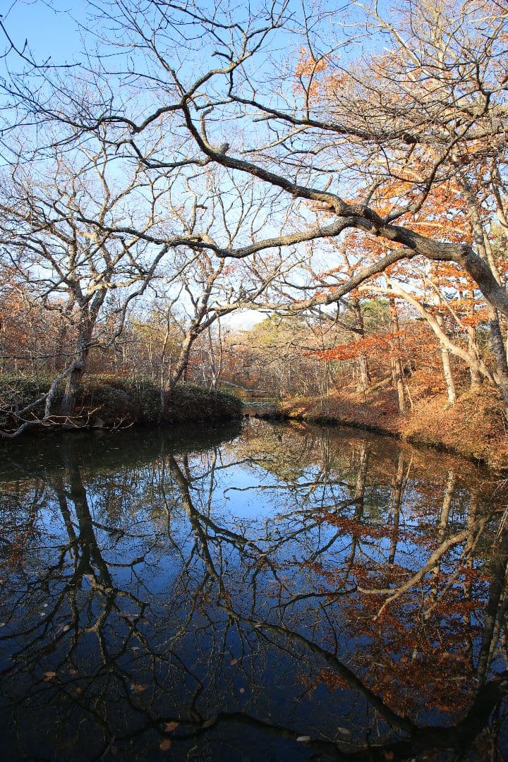 《希少》smc PENTAX-M 24-35mm F3.5 【光学美品】