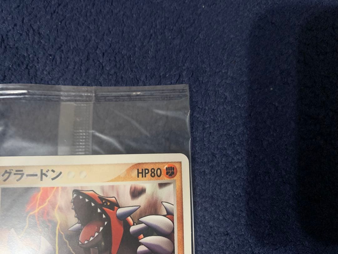 ポケパーク グラードン プロモ 042/PCG-P ポケモンカード 未開封