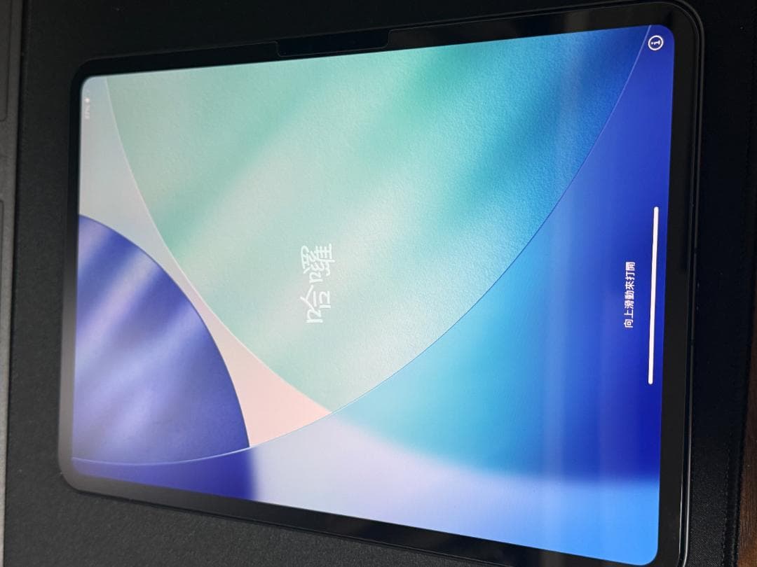 美品iPad Pro 11インチ M4 512GB Wi-Fi+Cellular