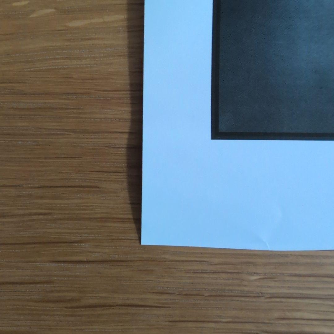 ステューシーポスター　stussy 非売品