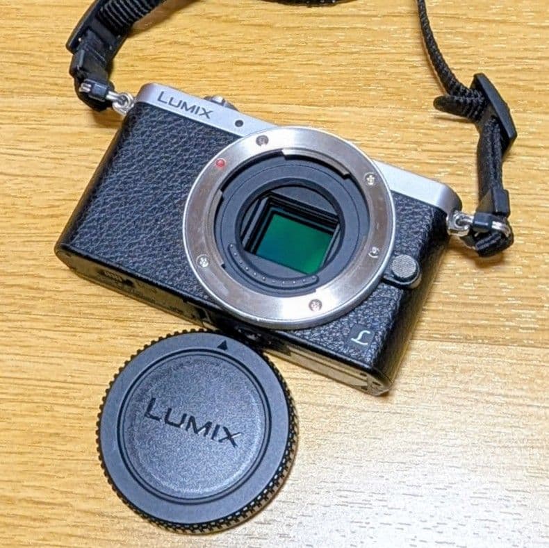 Panasonic LUMIX DMC-GM1K レンズキット シルバー