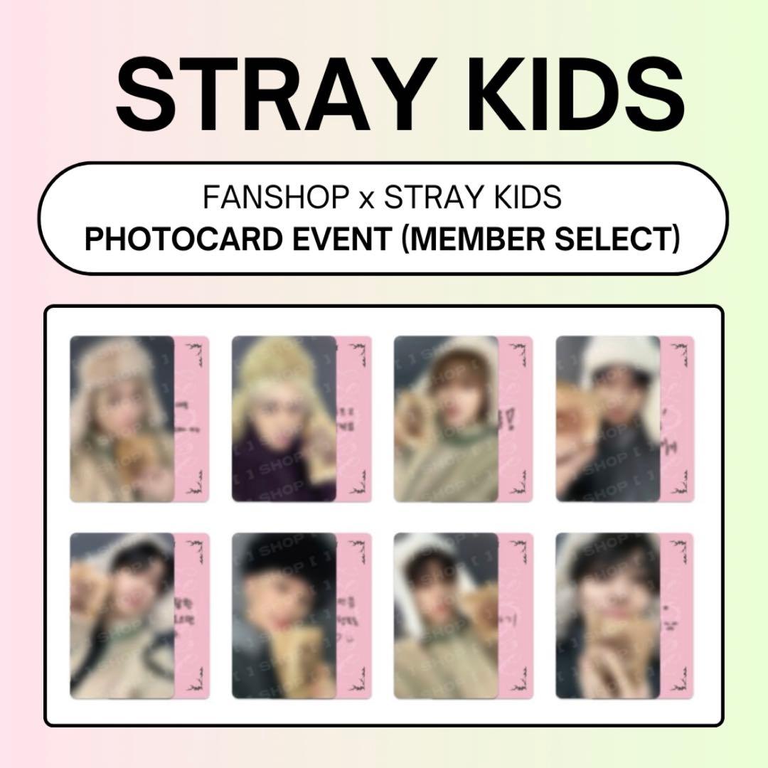 【セット売り】DOIT アコーディオン FANS ヨントン