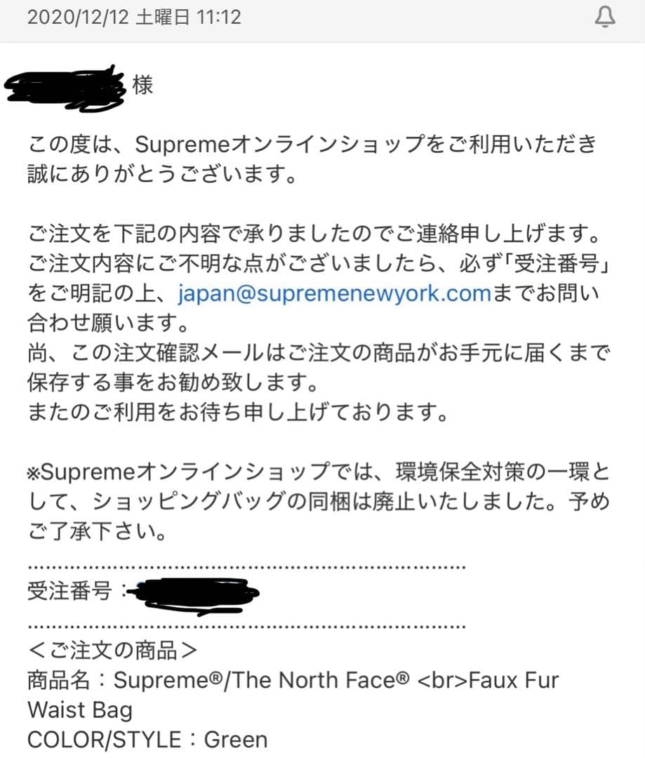 SUPREME×THE NORTH FACE 20AW グリーン