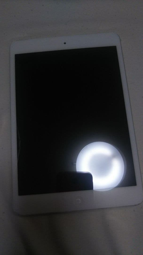 iPad本体 iPad  mini