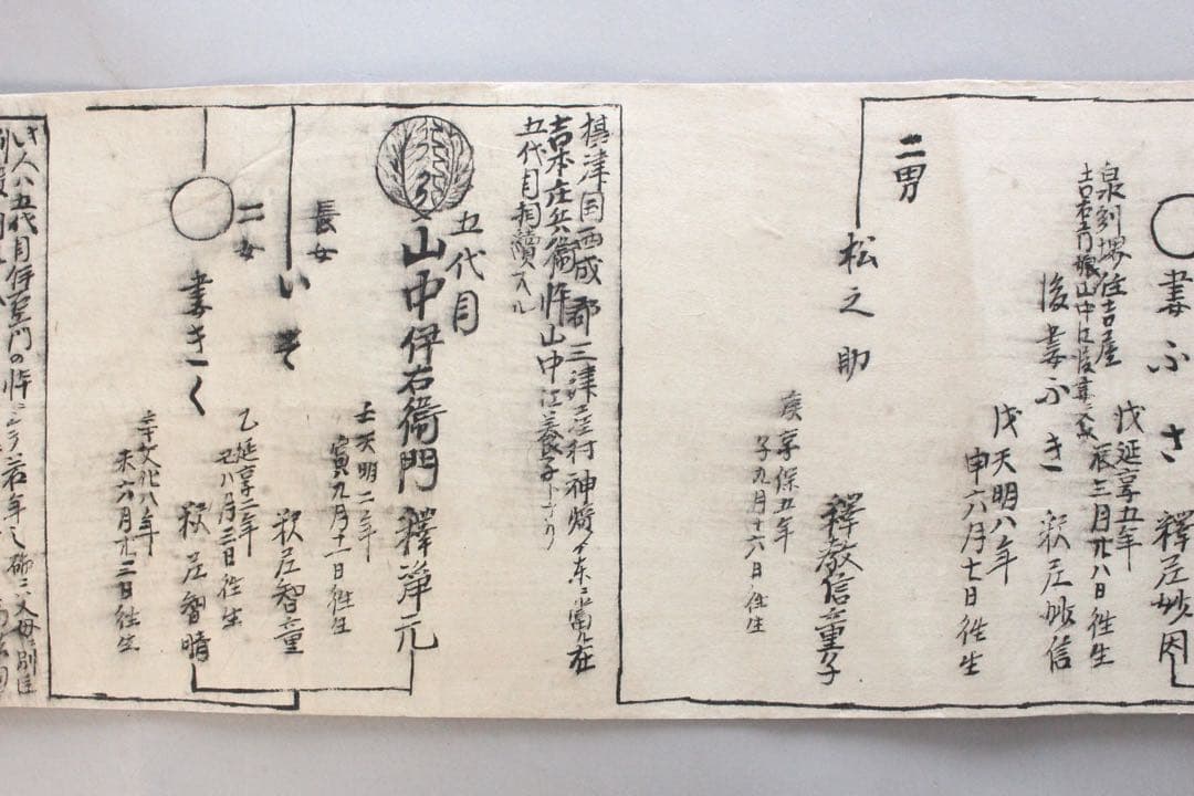 No4446 古文書　山中家　家系図　抱き柊紋　手書き　紙本　巻子装　送料無料