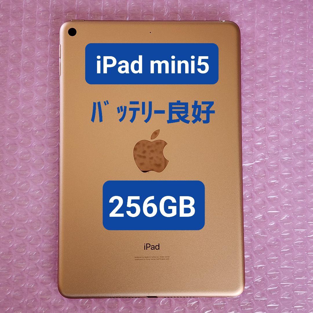 美品　iPad mini 第5世代　バッテリー良好　256GB　WiFiモデル