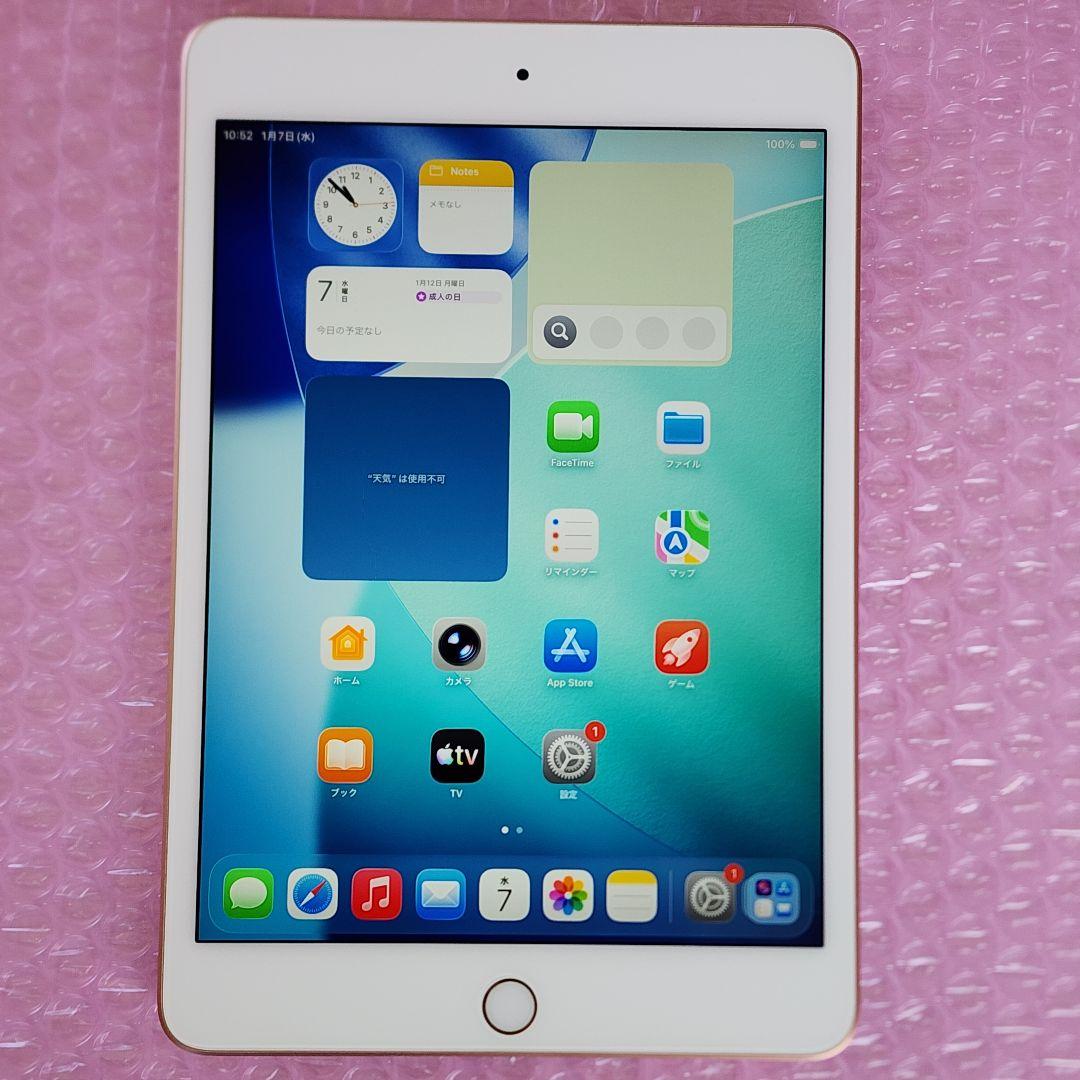 美品　iPad mini 第5世代　バッテリー良好　256GB　WiFiモデル